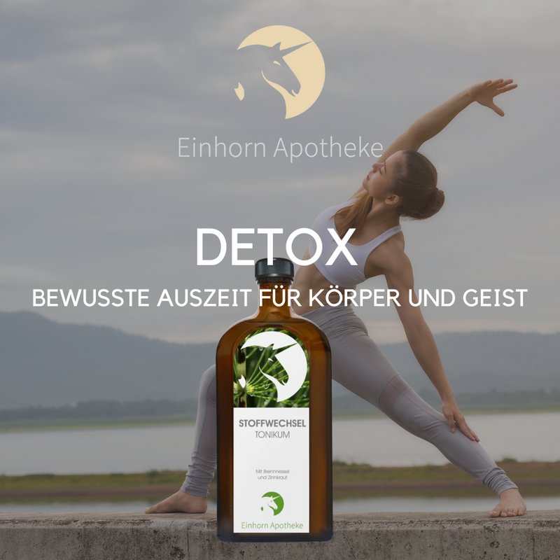 Detox - Bewusste Auszeit für Körper und Geist 🧘‍♀️