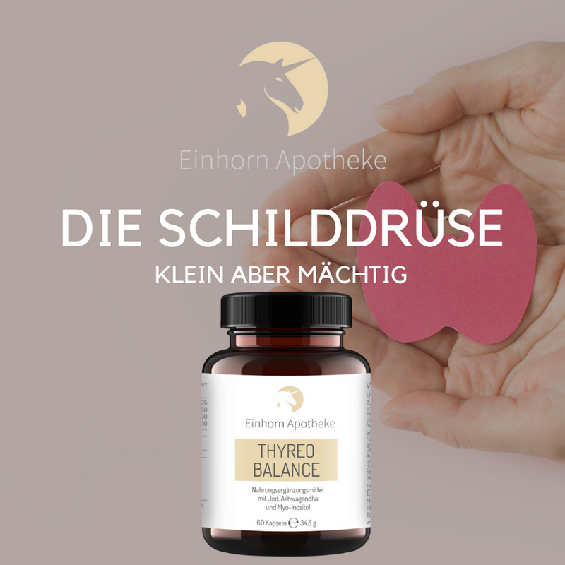 Die Schilddrüse – klein, aber mächtig