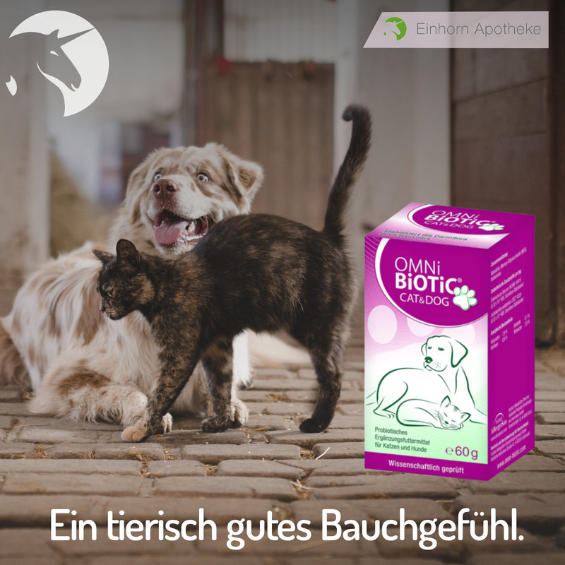 Ein tierisch gutes Bauchgefühl mit Omni-Biotic® Cat & Dog!