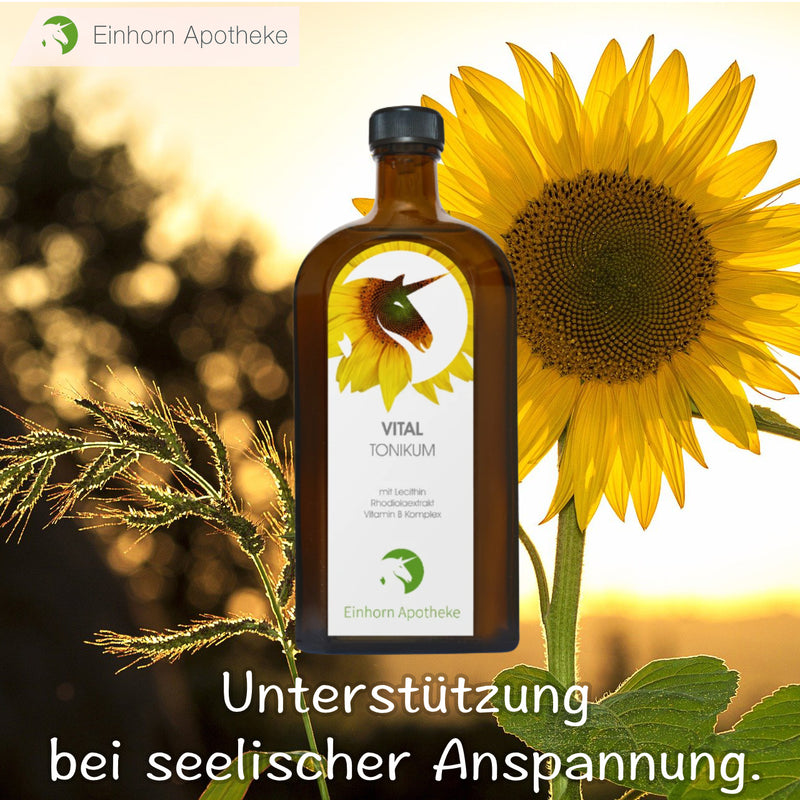 Kennst du schon unser Vitaltonikum mit Sonnenblumenlecithin?🌻